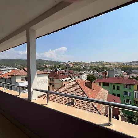 Iva サンダンスキ